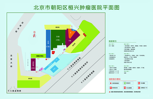 大屌棒色色网北京市朝阳区桓兴肿瘤医院平面图